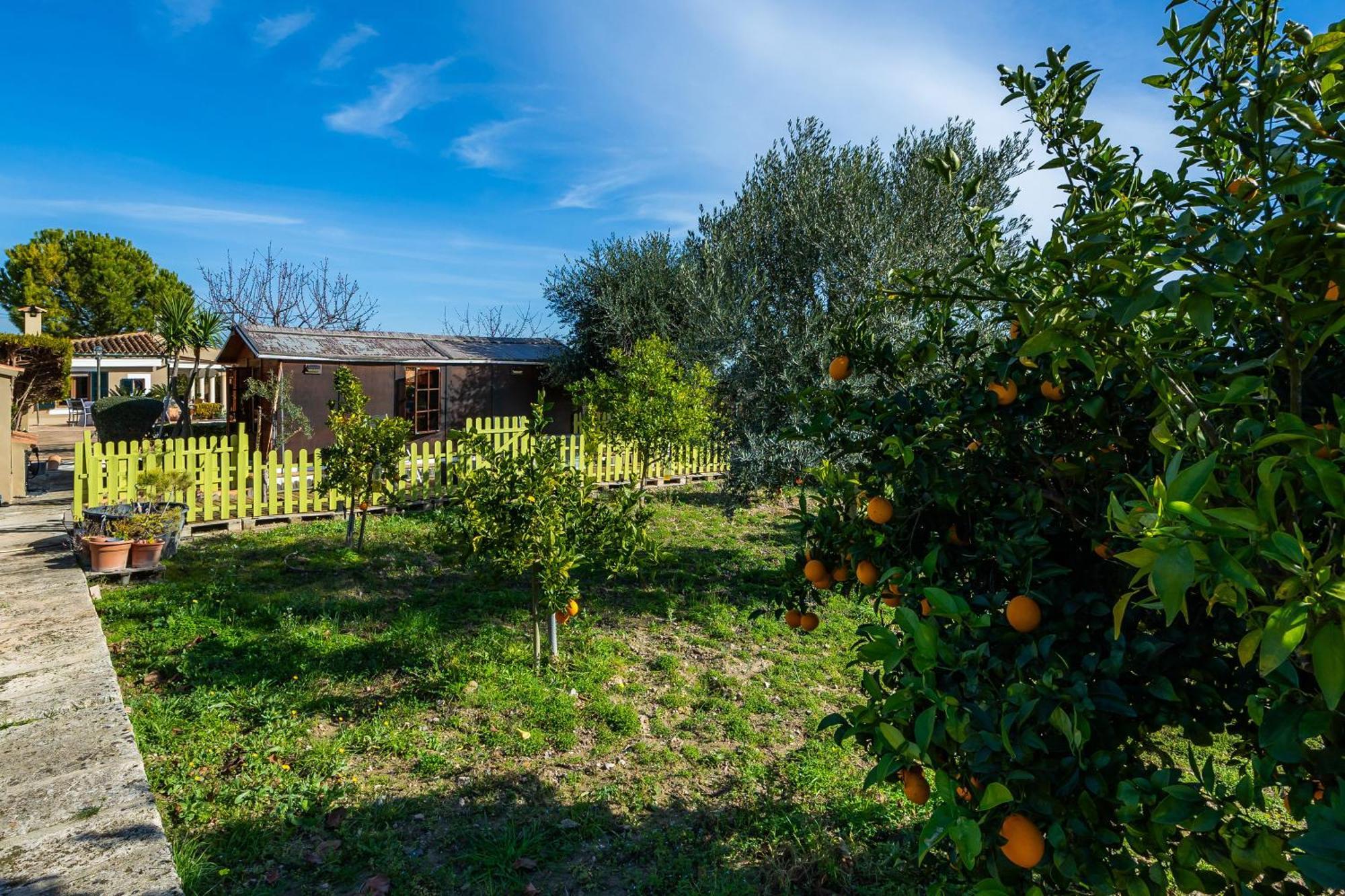 Finca Son Macia Selva  Extérieur photo